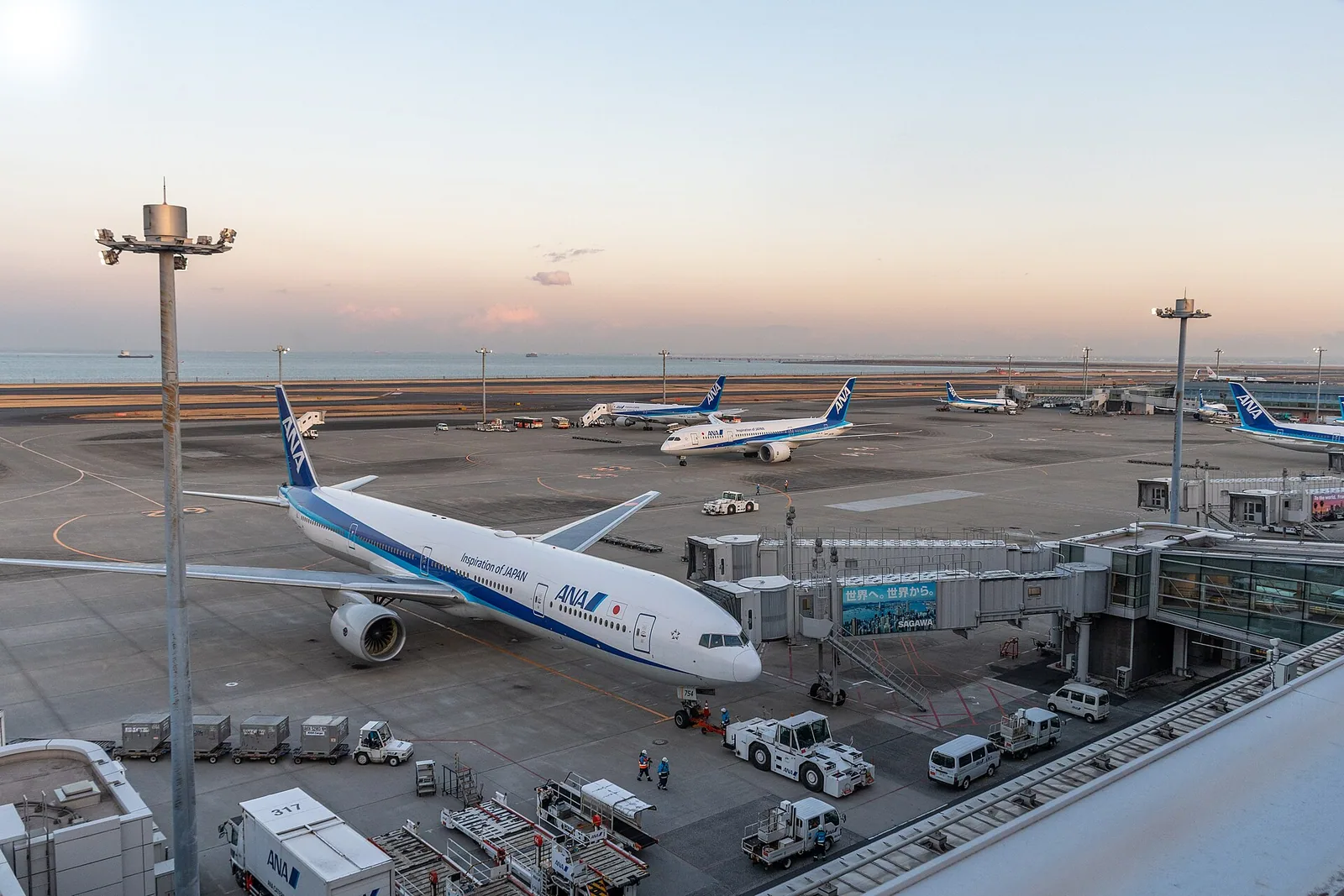 Aircraft at terminal gates on an airport apron